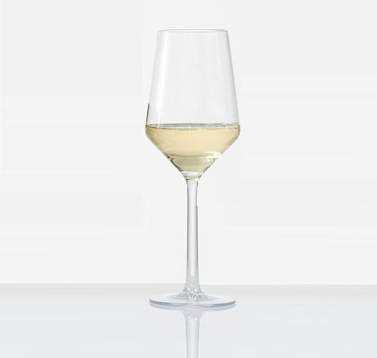 Fortessa Sole Outdoor Shatter Resistant BPA Free Premium Copolyester Plastic Drinkware 6 Pack, Sauvignon Blanc Glass, Clear, 13 Ounce (Set of 6)