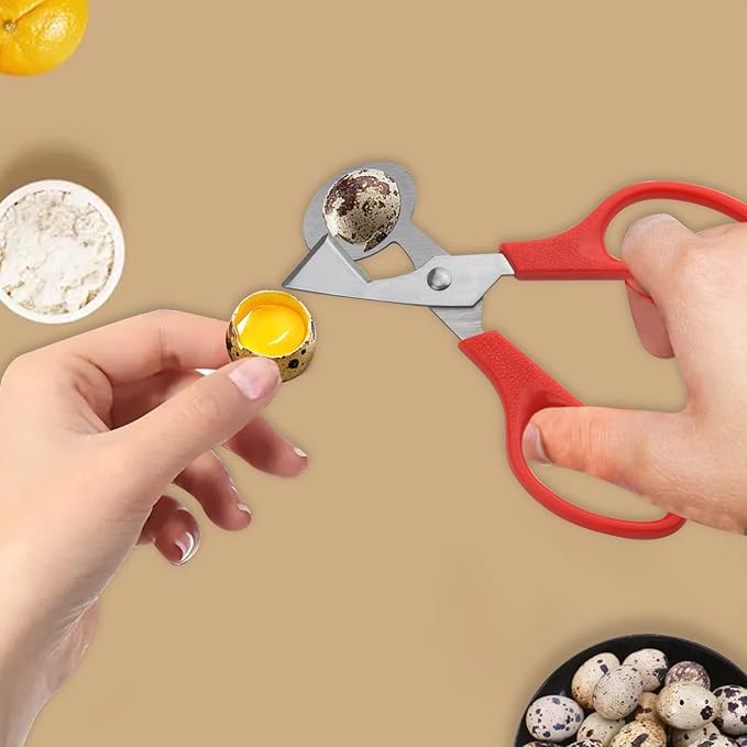 4Pack Stainless Steel Quail Egg Cutter - Scissors, Pigeon Egg Cutter Tool, Opener, Cracker for Home Kitchen (Four Colors)