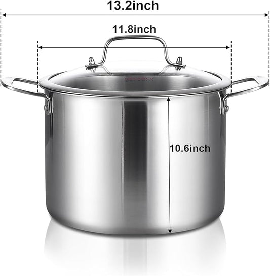 DELARLO Tri-ply Stainless Steel 20QT Stock Pot, Compatible with All Stoves Up to 600℉, 18/10 Induction Big Cooking Pot with Lid, Fast & Even Heating, Durable Large Soup Pot