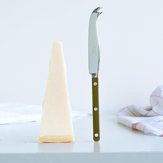 SABRE PARIS - Cheese Knife 9.4 inches - Bistrot Collection - All Cheeses - Stainless Steel & Nylon - Dishwasher Safe - Fern Green - Brilliant Finish