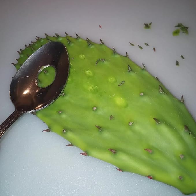 2Pcs Cactus Peeler Spoon, Stainless Steel Rice Meat Dumplings Spoon Squeezing Meatball Artifact Kitchen Tools, Peelers, Graters, Peelers and Slicers for Kitchen Utensils and Gadgets