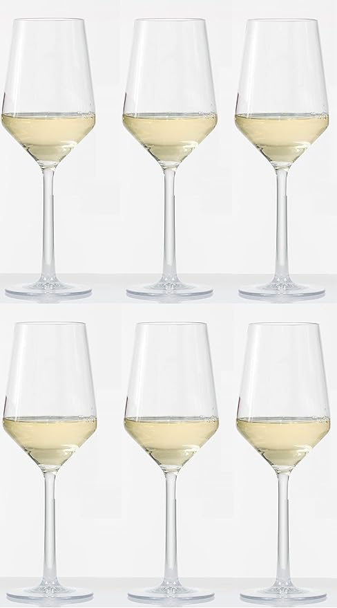 Fortessa Sole Outdoor Shatter Resistant BPA Free Premium Copolyester Plastic Drinkware 6 Pack, Sauvignon Blanc Glass, Clear, 13 Ounce (Set of 6)