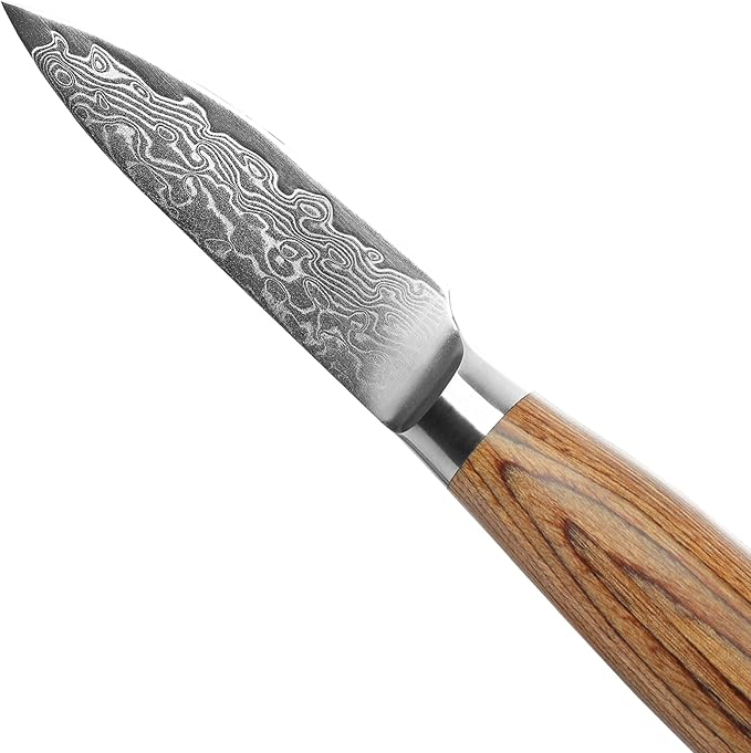 Wakoli EDIB Pro Premium Paring Knife – Japanese Style Kitchen Knife | 3.2-Inch Blade Made of 67-Layer Real Big Master Steel with Pakka Wood Handle | Professional Cooking Tool