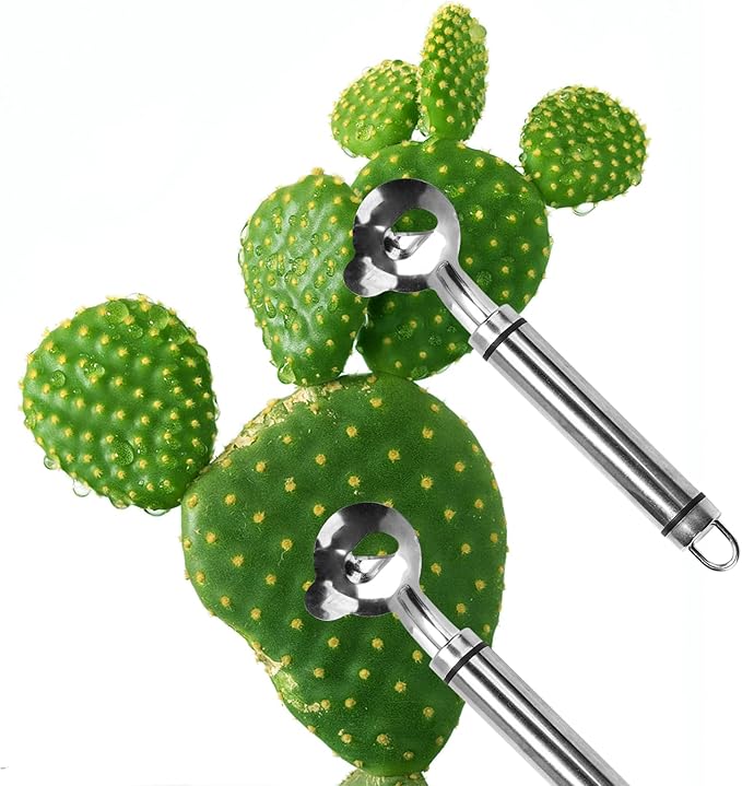 3Pack Cactus Peeler Spoon,Stainless Steel Cuchara pelador de nopales con espinas,nopales peeler,Sliced Chinese Noodle Cutter for Cooking Kitchen Gadgets