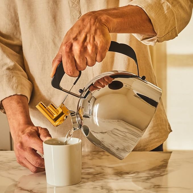 Alessi - Kettle - Stainless Steel - with Steel Base - Diameter 16.5 cm