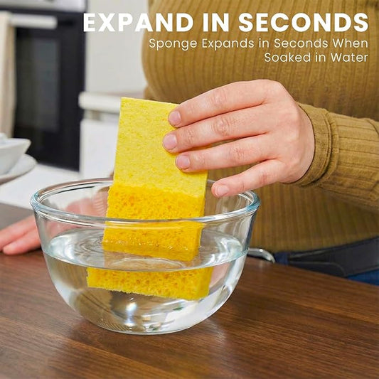 Kitchen Sponges, 24 Count, Thick Compressed Natural Cellulose Sponges, Non-Scratch for Dishes, Biodegradable & Compostable, Pop-up for Easy Storage