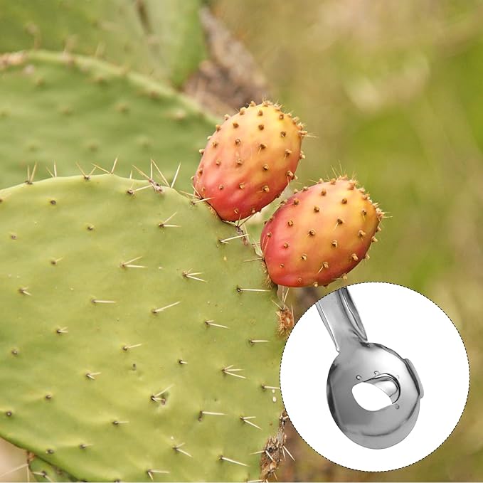 Cactus Peeler Tool, 7.48x1.89in Spoon Cactus Peeler Cactus Peeling Knife Sliced Noodle Cutting Knife with Hole with Long Handle for Kitchen Cooking Cactus Noodle