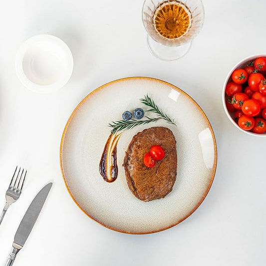 Dinner Plates Set of 6, 10 Inch Ceramic Plates – Porcelain Dinner Plates for Kitchen, Serving & Everyday Use, Microwave & Dishwasher Safe