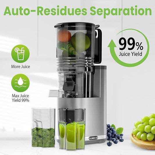 Cold Press Juicer, 6.5" Extra Large Feed Chute Juicer Machines, Hands-Free 350W Slow Masticating Juicer Machines with High Juice Yield for Whole Vegetables & Fruits, BPA Free, Silver