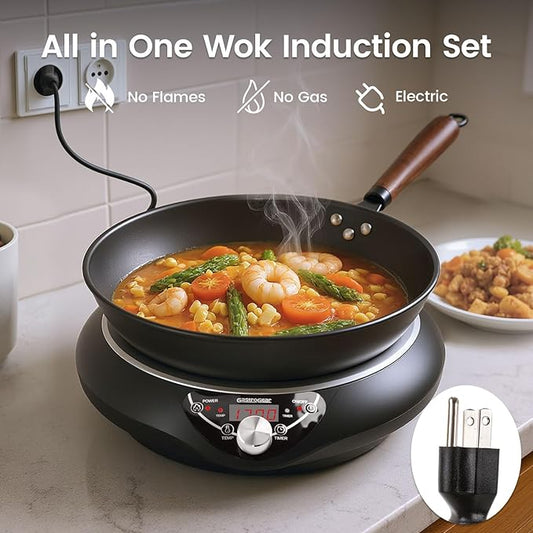GastroGear Induction Wok Cooktop Set, 2025 New & Improved Electric Skillet Induction Burner w/Carbon Steel Wok, Glass Vented Lid, Rack, 176°F to 464°F, 18 Hrs Timer, Auto-off (Black 110V~120V)