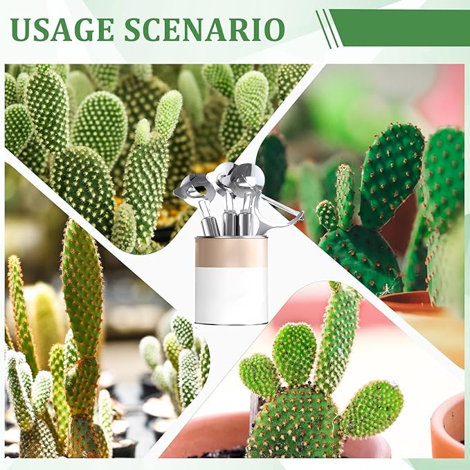 Lothee 4 Pcs Cactus Peeler Tools Stainless Steel Peeler Spoon and Paring Knife Long Handle Hole Slicing Noodle Cutter for Kitchen Gadget Accessories
