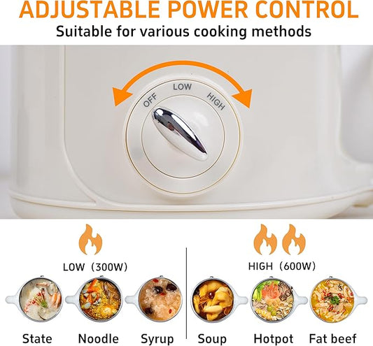 Hot Pot Electric, 2.0L Multifunctional Stainless Steel Electric Pot, Portable, Dual Power Adjustment for Dorm, Office, Travel
