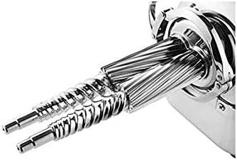 Angel Juicer AG-5500SFH Stainless Steel Electric Juice Extractor, SUS-304 Food Grade, 3HP Grinding Force, Dual Gear Technology, 10-Year Warranty