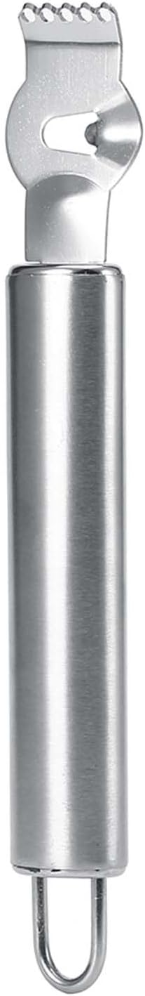 Stainless Steel Lemon Citrus Peeler, Fruit Zester Scraper with Hanging Loop, for Salad and Fruits