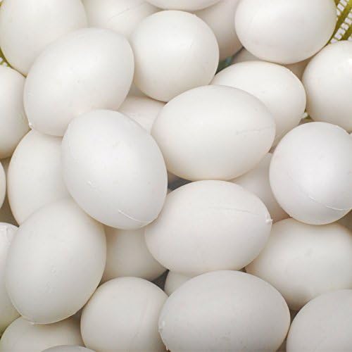 10pcs Solid Plastic Eggs Dummy Eggs For pigeons white color