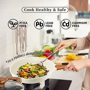 SC Cooker Frying Pans Nonstick with Lid, 10/11 inch Skillets and Frying pans,Granite Cooking Pan with Pour Spout,Non Toxic Pan for Stove,Induction,Gas,Pb, Cd PFOA Free(Granite, 11inch)