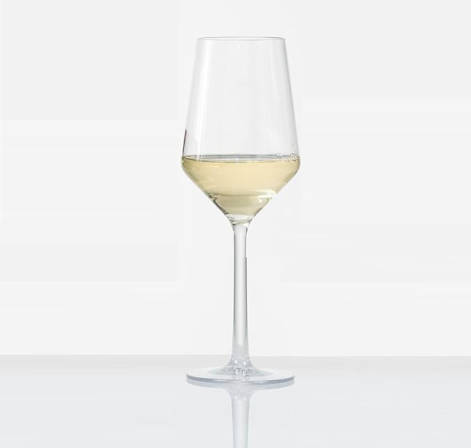 Fortessa Sole Outdoor Shatter Resistant BPA Free Premium Copolyester Plastic Drinkware 6 Pack, Sauvignon Blanc Glass, Clear, 13 Ounce (Set of 6)