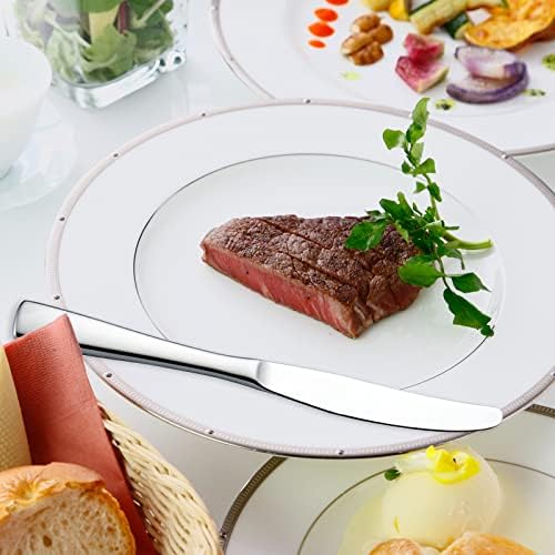 Dinner knife 6 Pieces Stainless Steel Butter Knife Set, Hollow Square Handle, Silver