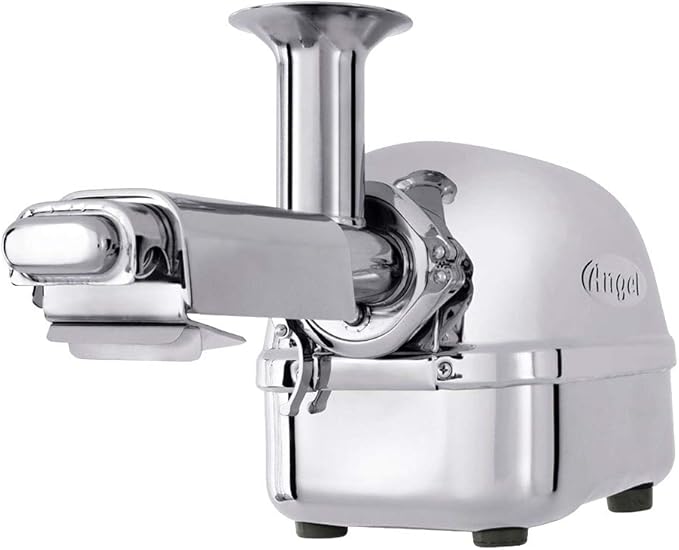 Angel Juicer AG-5500 Stainless Steel Premium Cold Press Slow Juicing Machine, SUS-304 Food Grade, 3HP Grinding Force, 82RPM Masticating Slow Juicer