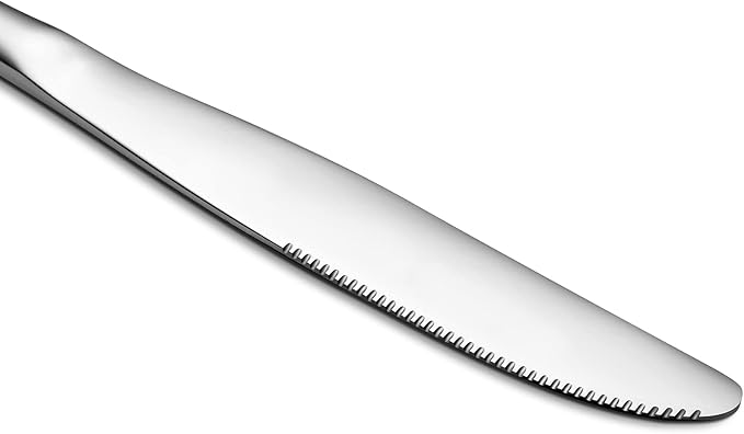 Aebeky 8-Piece Stainless Steel Table Knives,Dinner Knives Set,9.1-Inch (8-Piece)