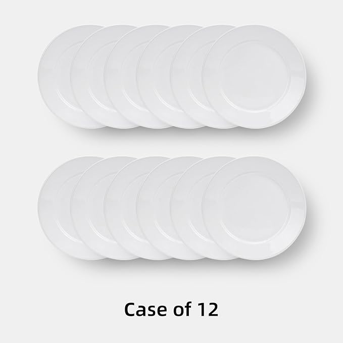 Wide Rim Bone China Commercial Grade Restaurant Plate, Elegance White Plate 10.5", Case of 12