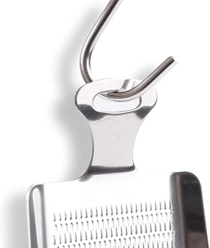 Stainless Steel Ginger Grater, Lemon Zester Cheese Grater Nutmeg Grinder Wasabi Garlic Grinding Tools for Vegetable Ginger Wasabi Sushi Sashimi Mini Size Food, Grate (Silver_2) (Silver_4)