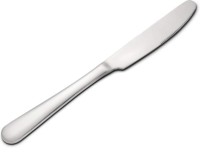 HIWARE 12-piece Good Stainless Steel Dinner Knives, 9 Inches