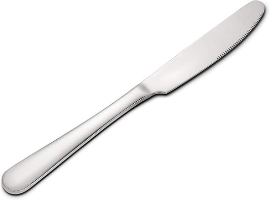 HIWARE 12-piece Good Stainless Steel Dinner Knives, 9 Inches