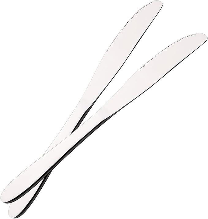 Obstnny 12-Piece Stainless Steel Dinner Knife, Table Knives Set