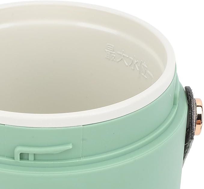 TOPINCN 500W Cooking Portable Electric Pot Mini Stainless Steel Multifunction Cooker, Mini 800ml Electric Pot Compact Design for Travel, Camping, Office (US Plug 110V)