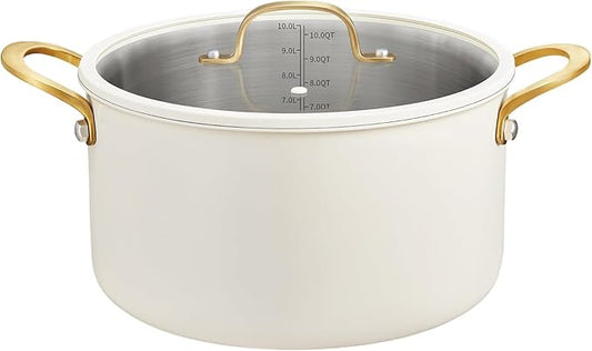 BEZIA 10 Quart Stainless Steel Stock Pot, Large Soup Pot, Casserole with Lid, Stockpot with Visible Lid, Silicone Edging, Sturdy & Double Handle, Induction Cooking Pot for Pasta, Soup, Spaghetti