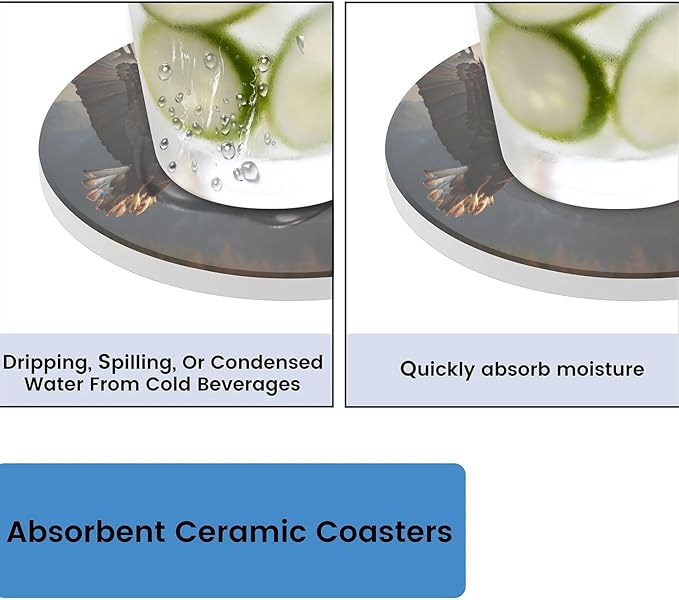 Round Coasters Set of 2, Soaring Eagle Absorbent Ceramic Coaster with Cork Base, Bar Coasters for Drinks Coffee Mugs Tea Cups Wine Glasses Home Decor Gifts (4 inches)