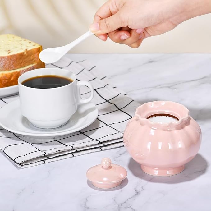 Iridescent Sugar Bowl, Porcelain Salt Cellar with Lid and Spoon, 9oz Sugar Jar for Coffee Bar, Salt Box Sugar Containers for Seasoning, Spice, Sauce, Elegant Decor for Kitchen Countertop