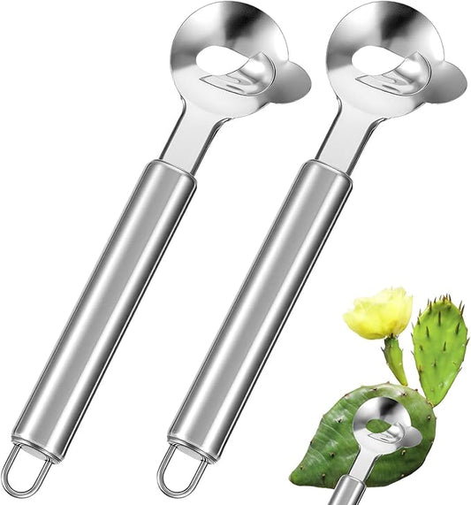2 Pcs Cactus Peeler Spoon Stainless Steel Long Hole Cactus Thorn Removal Tool Multi-Function Cactus Peeling Knife Tool, Sliced Chinese Noodle Cutter for Cooking Kitchen Gadgets