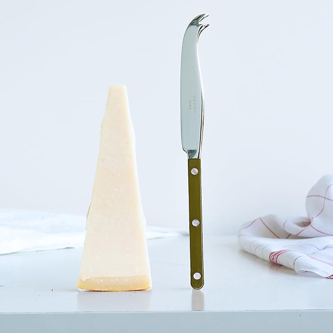 SABRE PARIS - Cheese Knife 9.4 inches - Bistrot Collection - All Cheeses - Stainless Steel & Nylon - Dishwasher Safe - Fern Green - Brilliant Finish