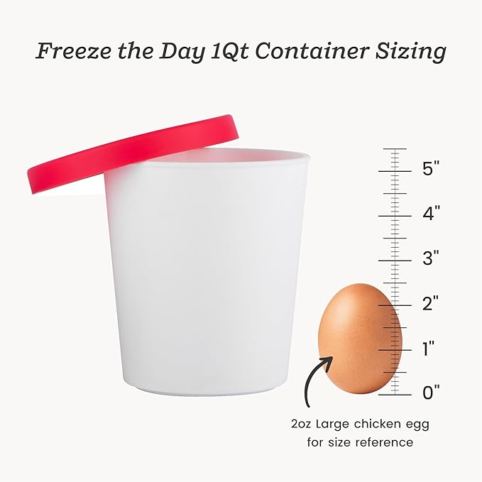 Starpack 'Freeze the Day' Ice Cream Storage Container for Freezer (2 Pcs) - 1 Quart Ice Cream Containers for Homemade Dessert - Reusable Frozen Treat Containers with Lids - Leak-Free Lids (Silicone)