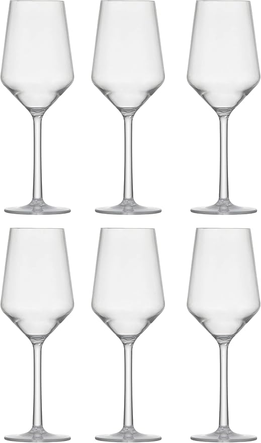 Fortessa Sole Outdoor Shatter Resistant BPA Free Premium Copolyester Plastic Drinkware 6 Pack, Sauvignon Blanc Glass, Clear, 13 Ounce (Set of 6)
