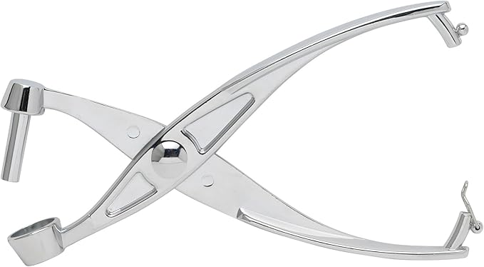 Mrs. Anderson’s Baking Cherry Pitter, Chrome-Plated Zinc Alloy