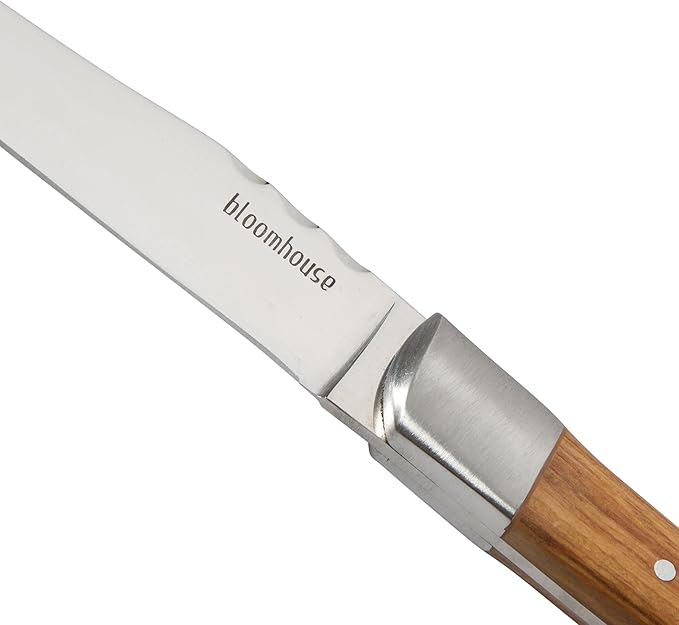 Bloomhouse 4-Piece German Stainless Steel Steak Knife Set – Premium Olive Wood Handle Steak Knives, Full-Tang Blades for Dining