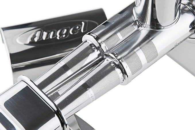 Angel Juicer AG-7500 Stainless Steel Premium Cold Press Slow Juicing Machine, SUS-304 Food Grade, Anti-Jamming Auto-Reverse Function, 10-Year Warranty