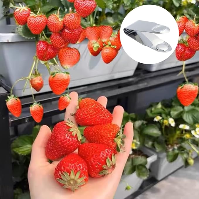 Stainless Steel Strawberry Huller Fruit Stem Remover Home Kitchen Tools for Cherry Tomato, 2.8 * 1,Silver, 2Pcs