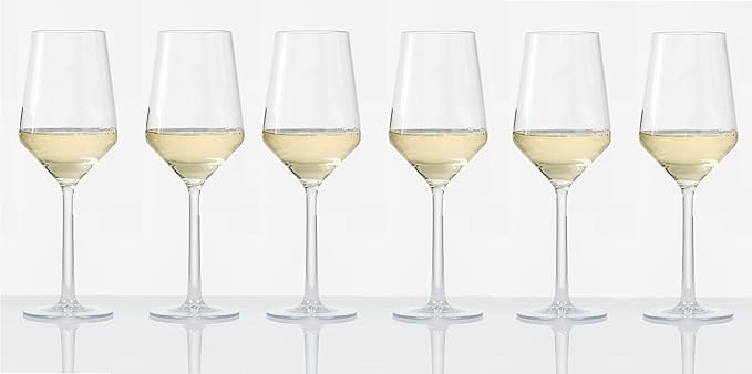 Fortessa Sole Outdoor Shatter Resistant BPA Free Premium Copolyester Plastic Drinkware 6 Pack, Sauvignon Blanc Glass, Clear, 13 Ounce (Set of 6)
