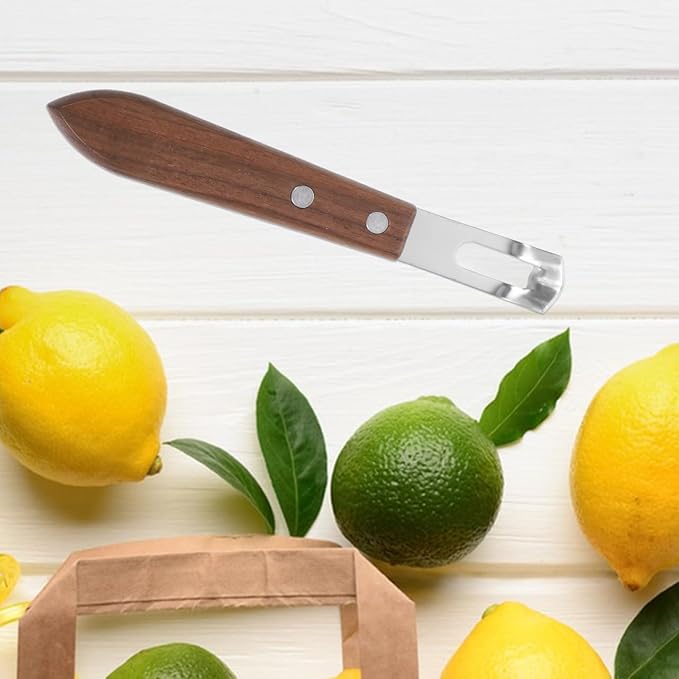 Garneck Stainless Steel Cheese Grater and Lemon Zester Set 2-Piece Handheld Fruit Vegetable Grater for Kitchen Use Washable and Easy to Clean