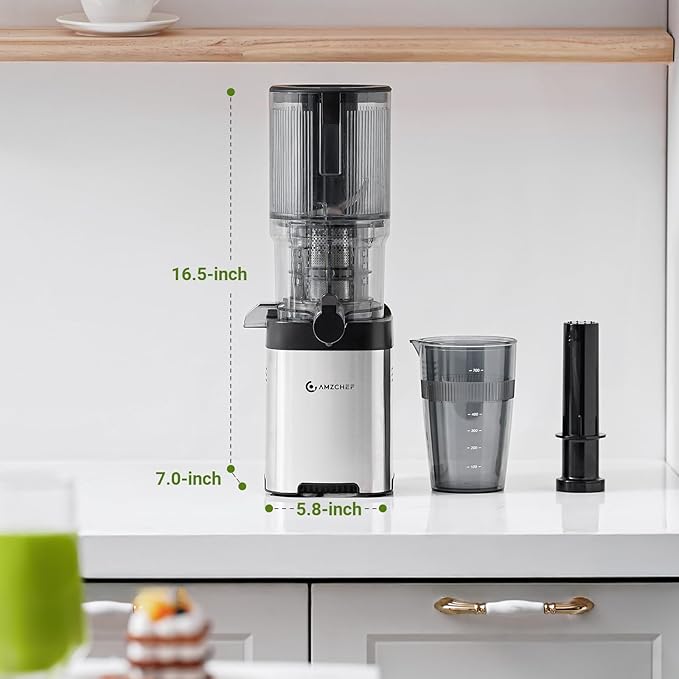 Cold press Juicer Machines with 5.4" Extra Self-Feeding for Whole Vegetable & Fruit, Juice Extractor with Large Auger & Triple Strainers, Easy to Clean, High Juice Yield, Stainless Steel Silver