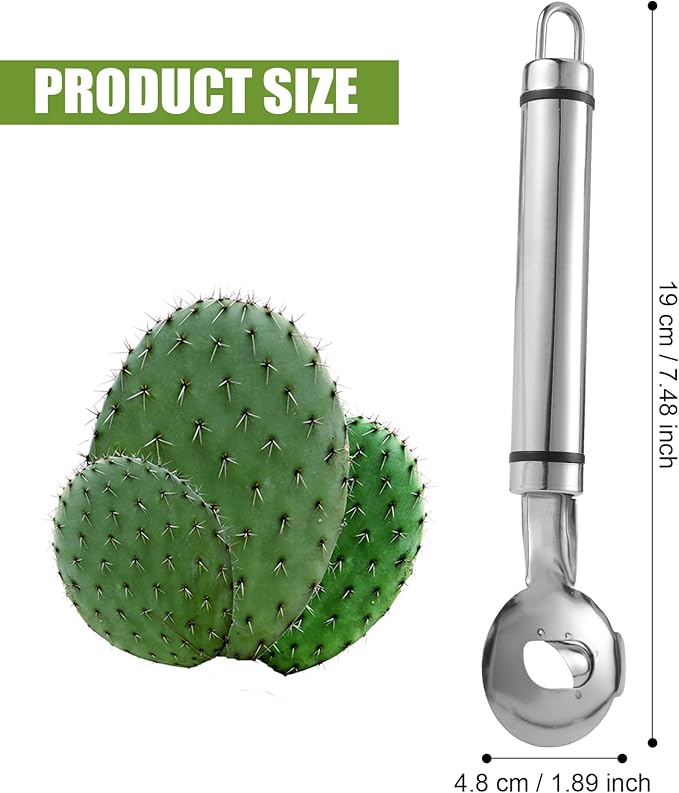 Cactus Peeler Tool, 7.48x1.89in Spoon Cactus Peeler Cactus Peeling Knife Sliced Noodle Cutting Knife with Hole with Long Handle for Kitchen Cooking Cactus Noodle