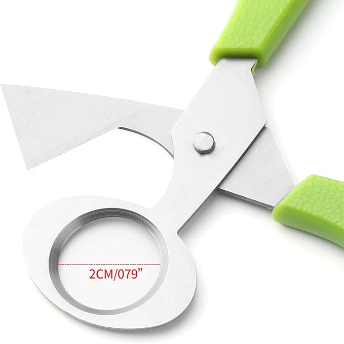 6Pcs Quail Egg Cutter Scissors Kitchen Egg Shears Tool (Green)