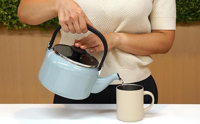 Fuji Enameled Glass Lid Kettle, 6.6 gal (2.0 L), Cool Gray AMZ-2.0K.CG