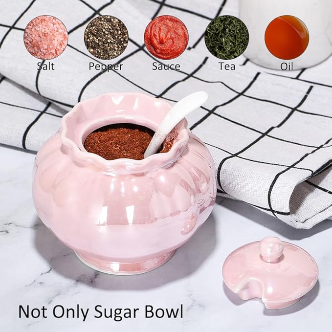 Iridescent Sugar Bowl, Porcelain Salt Cellar with Lid and Spoon, 9oz Sugar Jar for Coffee Bar, Salt Box Sugar Containers for Seasoning, Spice, Sauce, Elegant Decor for Kitchen Countertop