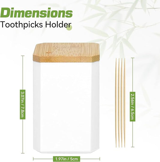 Toothpick Holders 2 Pack with 3000 Picks,Round Toothpicks Double-Side Point for Teeth,Food Pick,Appetizers,Cocktails Fruits,Olive&DIY Craft.