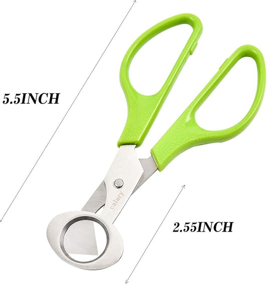 6Pcs Quail Egg Cutter Scissors Kitchen Egg Shears Tool (Green)